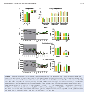 Proteína e insulina: gráficos de composição corporal e taxa metabólica