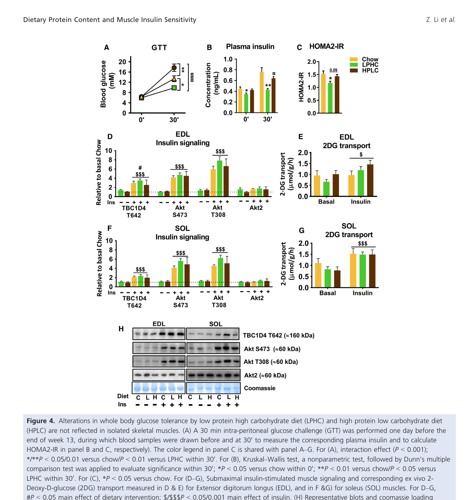 Proteína e insulina: teste de tolerância à glicose mostrando que dieta com pouca proteína melhora o controle glicêmico